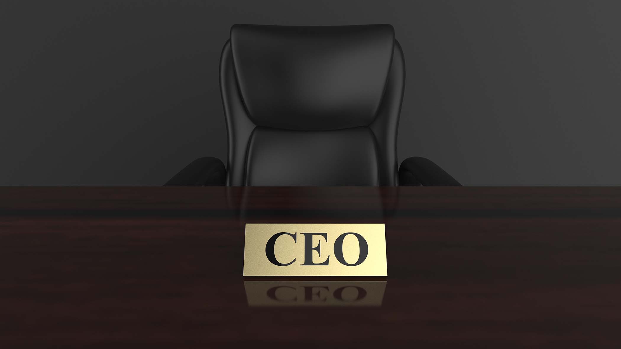CEO selection criteria CEO Selection Criteria