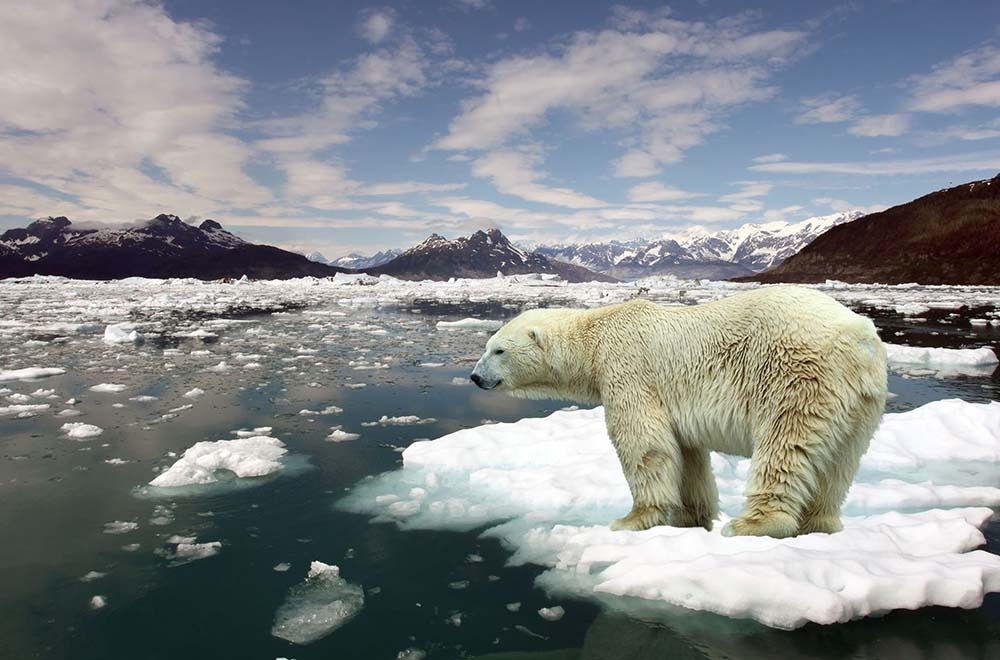 Innovative Startups Tackling Climate Change Innovative Startups Tackling Climate Change