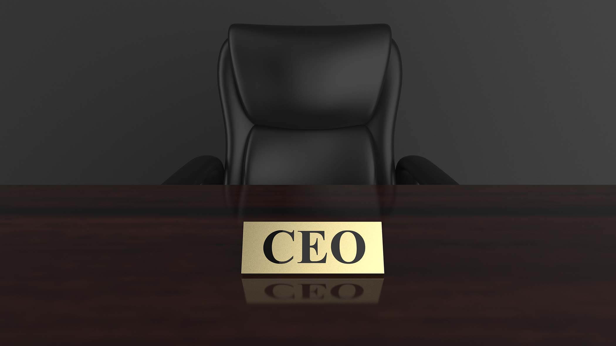 CEO Selection Criteria