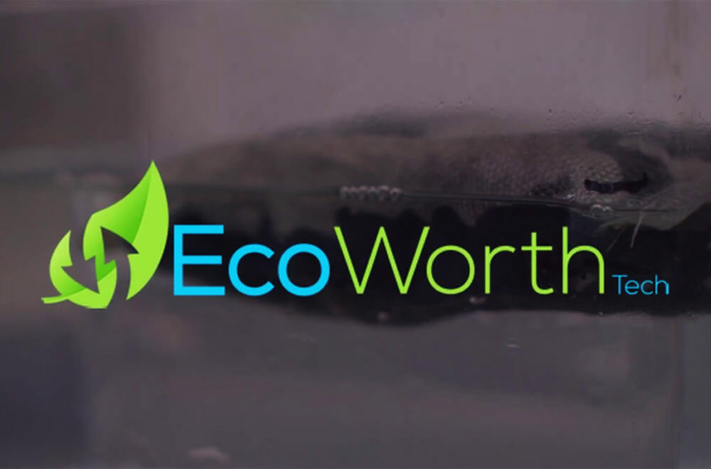 EcoWorth Tech