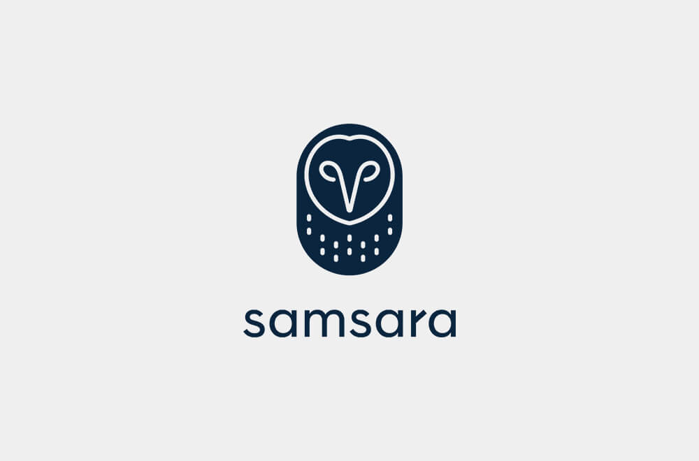 Samsara a Company That Develops and Build Sensor Systems